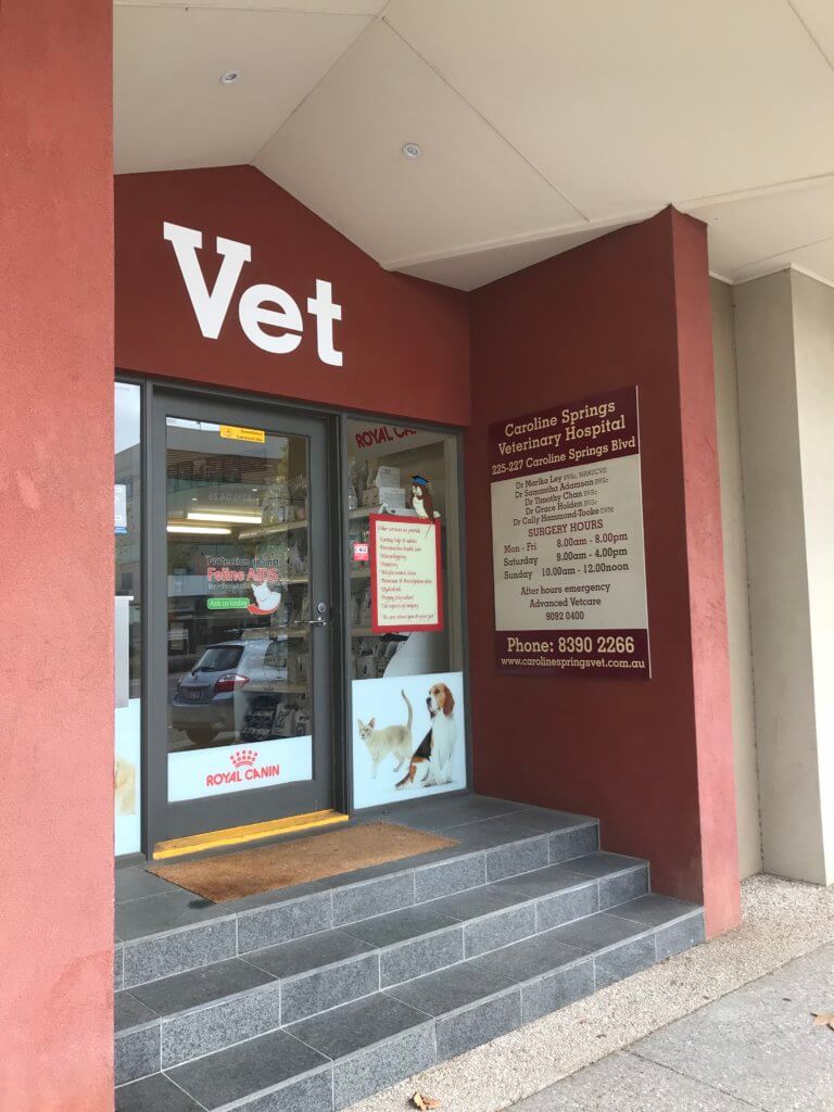 About Us Caroline Springs Vet Hospital Open 7 Days