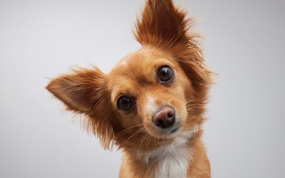 There’s something wrong in ear!