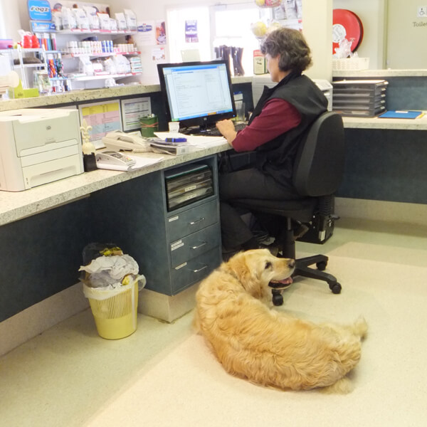 Why are Vets So Busy?