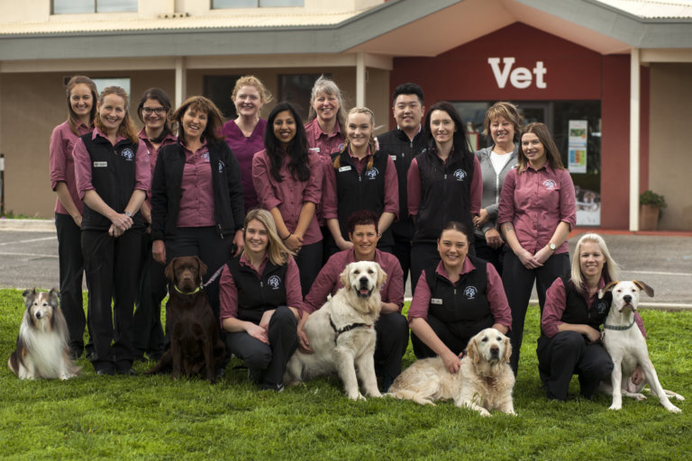 About Us Caroline Springs Vet Hospital Open 7 Days