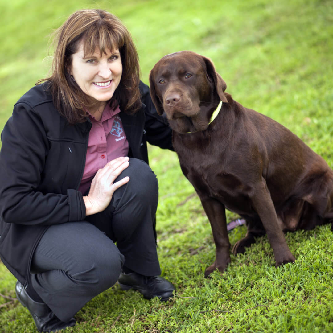 About Us Caroline Springs Vet Hospital Open 7 Days