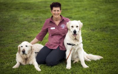 The Value of Customer Service at Caroline Springs Vet