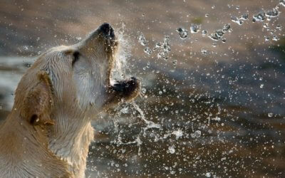 A little bit thirsty?