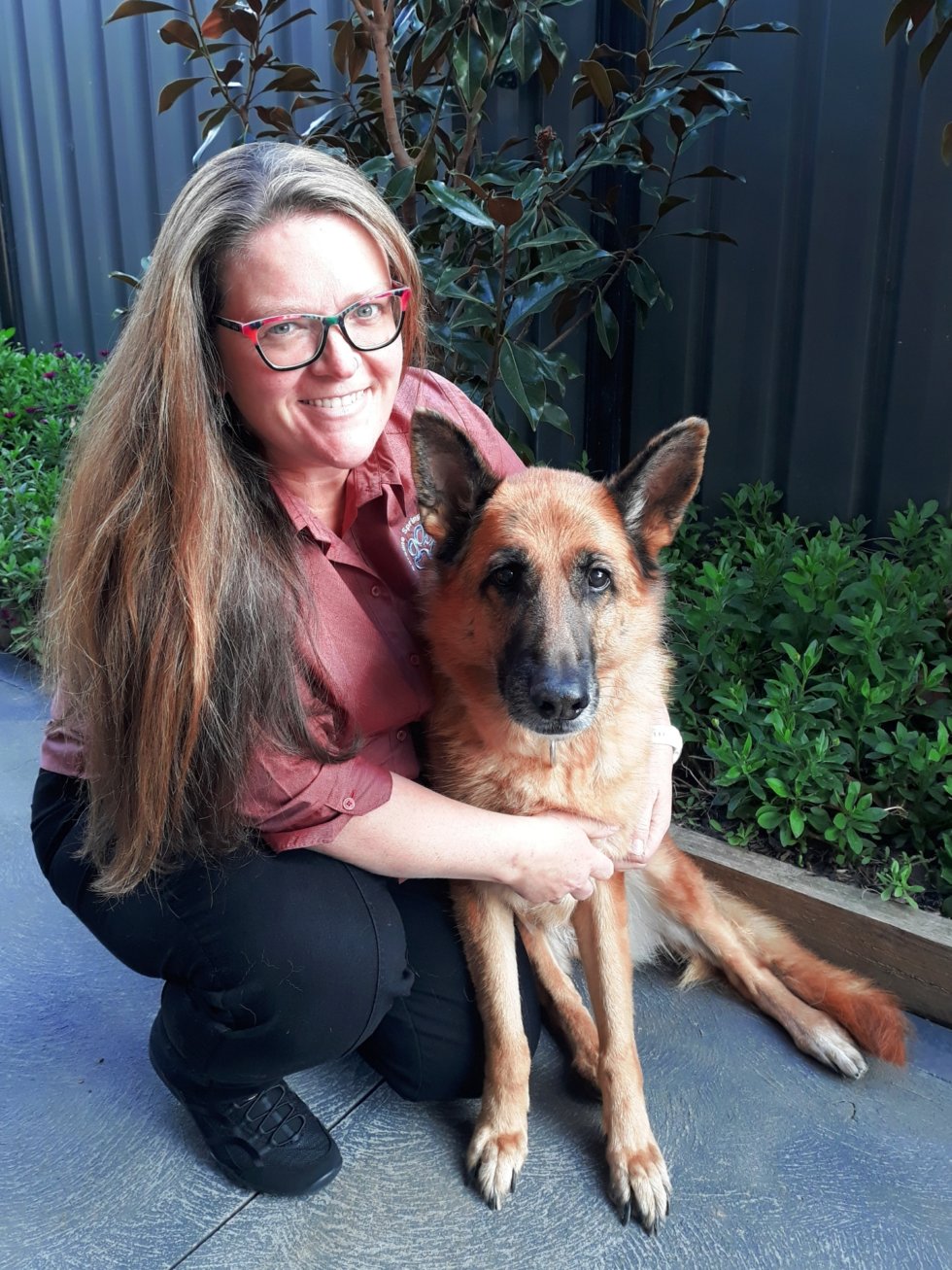 About Us Caroline Springs Vet Hospital Open 7 Days