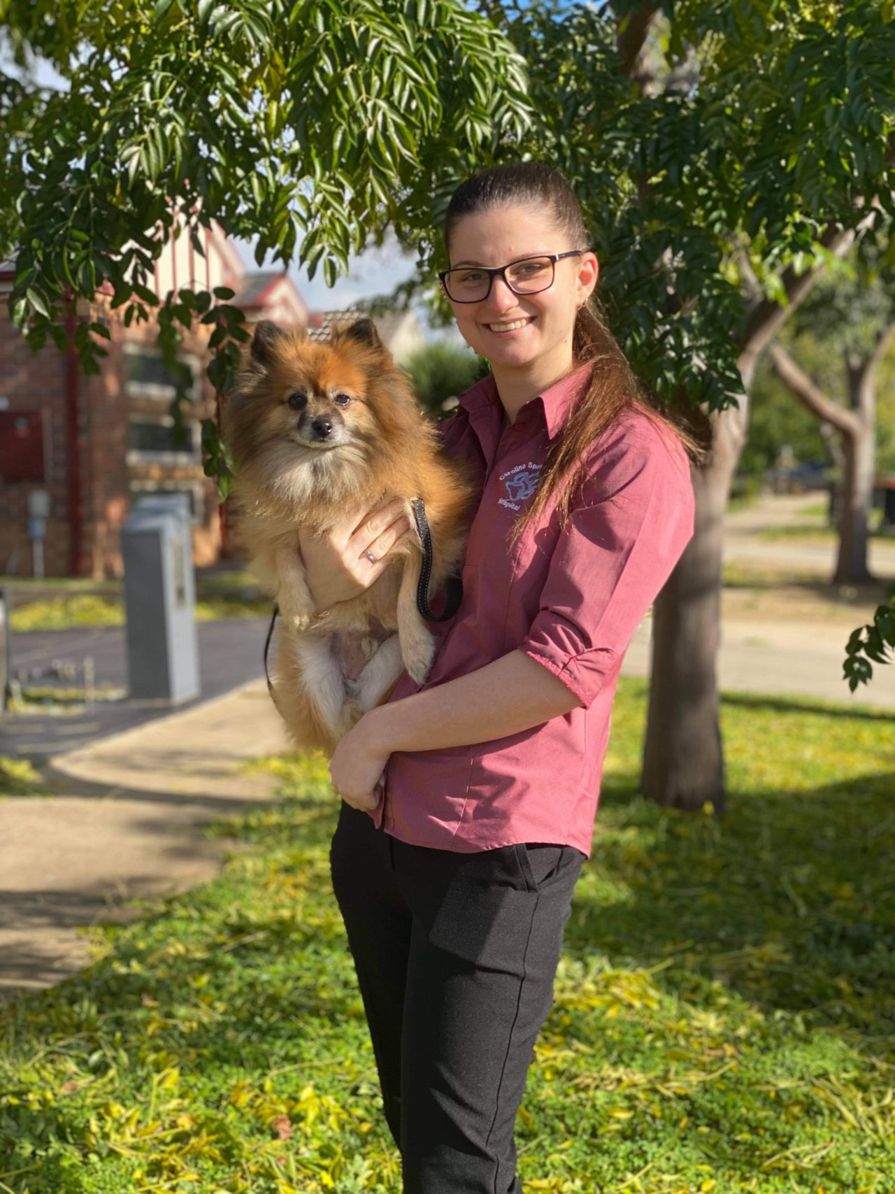 About Us Caroline Springs Vet Hospital Open 7 Days